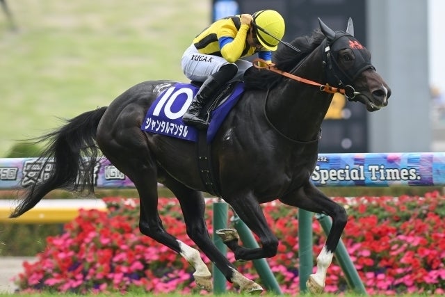 今年の安田記念を制したジャンタルマンタル。このカテゴリーにおける王者と言える存在だ。写真：産経新聞社