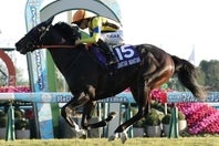 盤石のレース運びで、JRA史上初めて牡牝混合の芝マイルＧⅠ完全制覇を達成したジャンタルマンタル。写真：産経新聞社