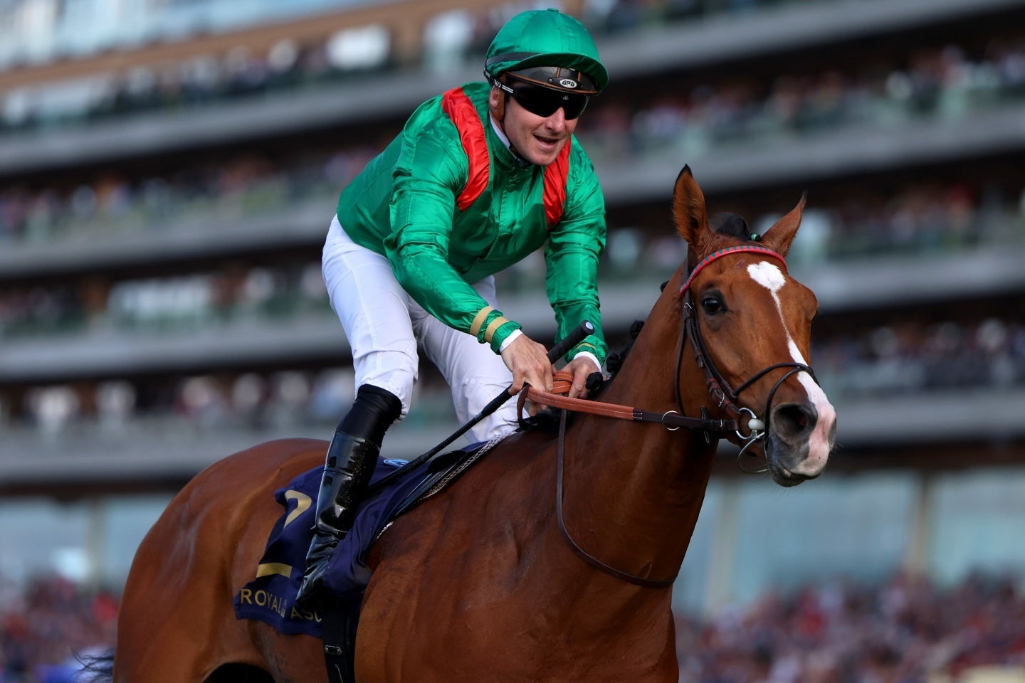 唯一の外国馬カランダガンがJCに参戦する。(C)Getty Images