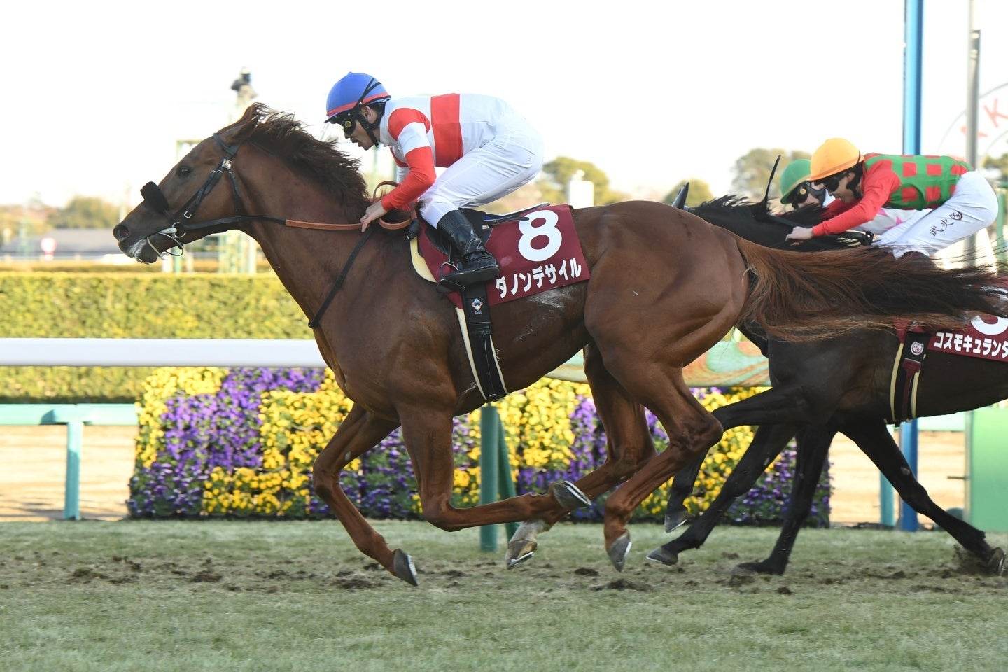 日本勢の大将格はダービー馬のダノンデサイル。写真：産経新聞社