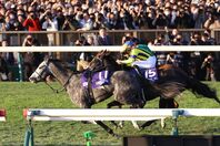 空馬のアドマイヤテラが先頭でゴールしたものの、欧州年度代表馬のカランダガンが強さを見せつけレコード勝ち。写真：産経新聞社