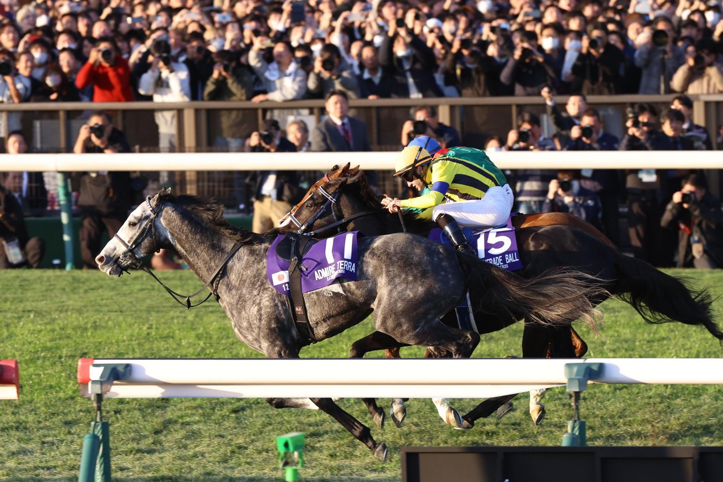 空馬のアドマイヤテラが先頭でゴールしたものの、欧州年度代表馬のカランダガンが強さを見せつけレコード勝ち。写真：産経新聞社