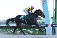 ルクソールカフェが初の戴冠を狙う。写真：産経新聞社