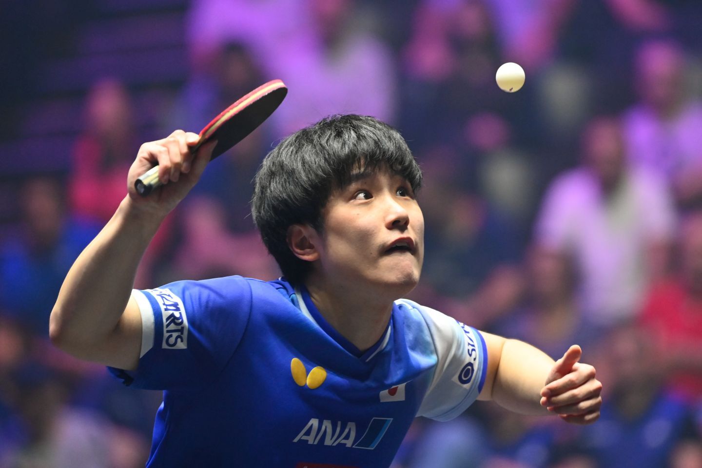 第３試合で登場した張本智和。敗れはしたが、１ゲームを先取した。(C) Getty Images