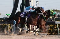 牝馬10年ぶりのチャンピオンズC優勝を飾ったダブルハートボンド（手前）。写真：産経新聞社