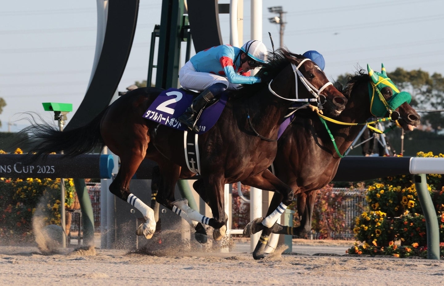 牝馬10年ぶりのチャンピオンズC優勝を飾ったダブルハートボンド（手前）。写真：産経新聞社