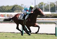 ２歳王者を目指すカヴァレリッツォ。写真：産経新聞社