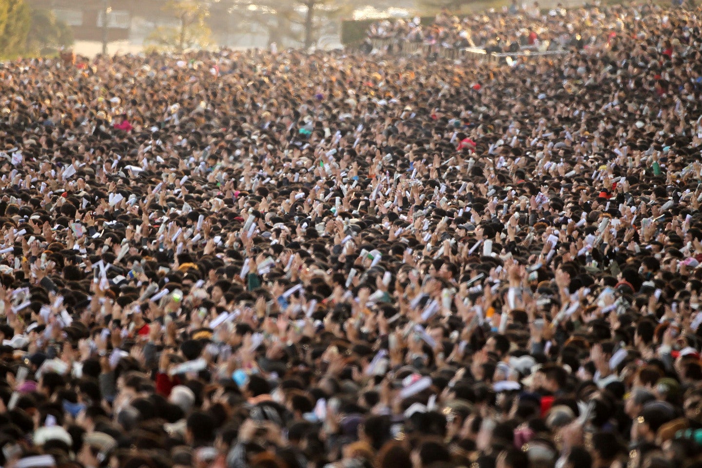 28日に開催された有馬記念を現地で見届けた人気声優が話題だ。(C) Getty Images