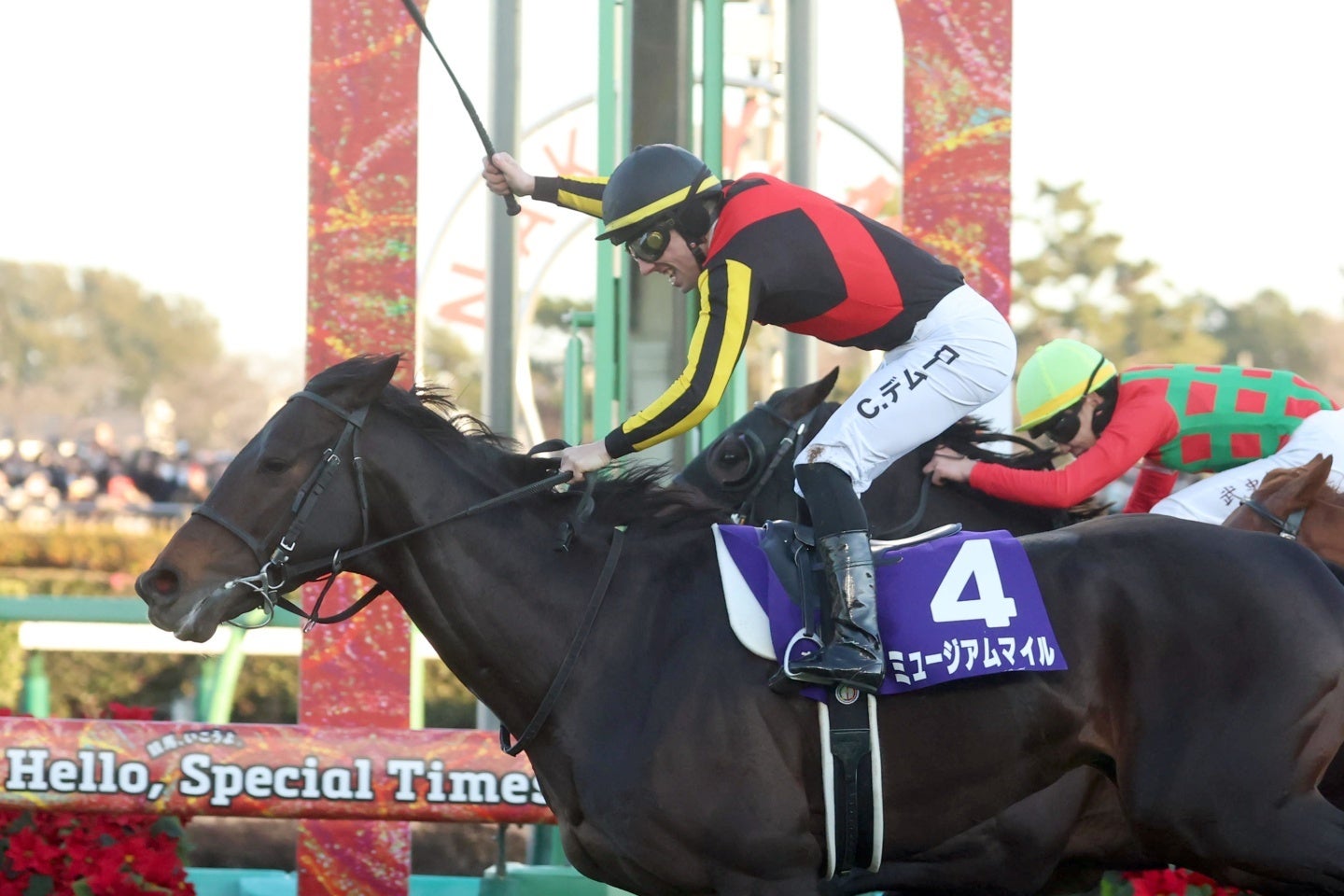 有馬記念を勝ったミュージアムマイル。C・デムーロ騎手を勝利のガッツポーズを掲げた。写真：産経新聞社