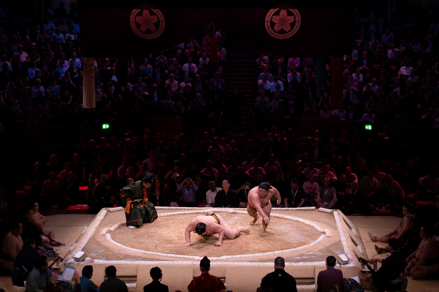 人気アナが新大関・安青錦と対面し、２S写真を公開した（写真はイメージ）。(C)Getty Images