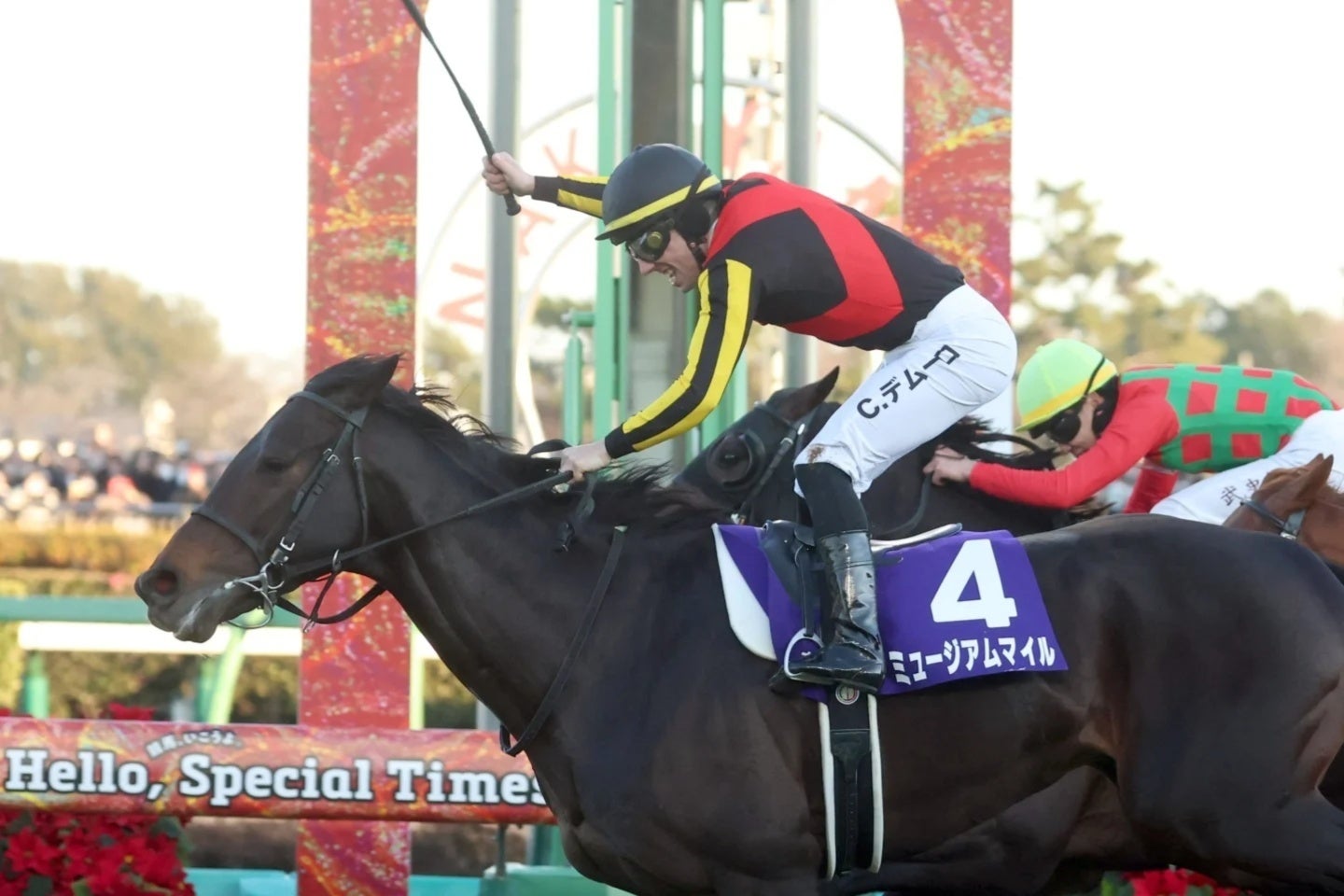 ３歳のミュージアムマイルが有馬記念を初制覇した。写真：産経新聞社