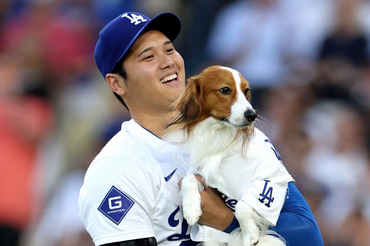 大谷（左）とドジャー・スタジアムで遊んだデコピン（右）。(C) Getty Images