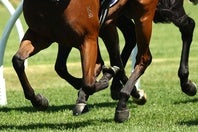 中央GⅠ８勝を挙げた騎手が引退を表明した。※写真はイメージ。(C)Getty Images