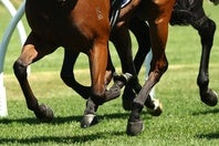 JRAはグリーンチャンネルで放送している「中央競馬全レース中継」の無料ネットライブ配信を発表した。※写真はイメージ。(C)Getty Images