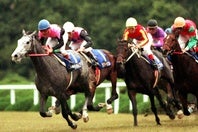 1993年の菊花賞を制したビワハヤヒデ。写真：産経新聞社