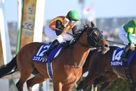 単勝２番人気のコスタノヴァがフェブラリーSを制した。写真：産経新聞社