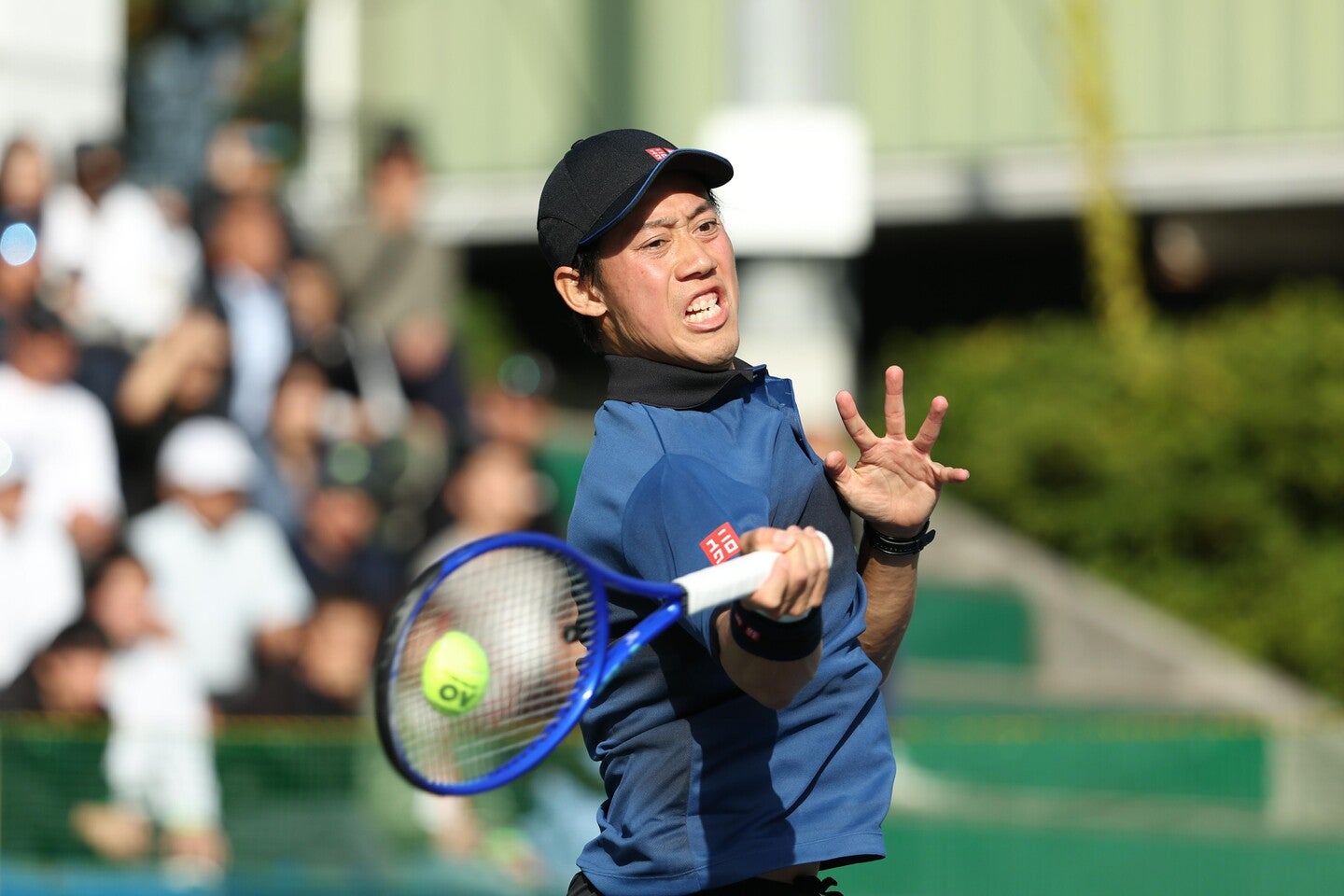 錦織が約２カ月ぶりの復帰戦となるか、注目が集まる（写真は昨年11月の横浜慶應チャンレジャー）。写真：滝川敏之