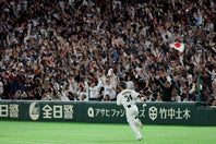 東京ドームで日本戦を観戦した25歳女優が話題になっている。写真：梅月智史（THEDIGEST編集部）