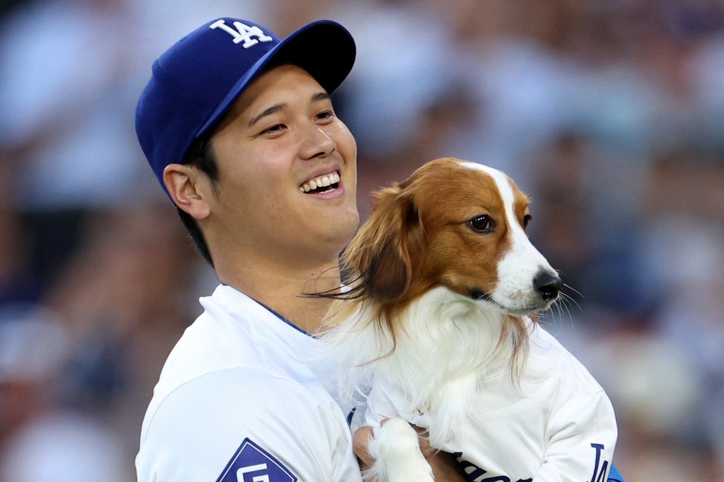 愛犬デコピンの最新ショットを公開した大谷。(C) Getty Images