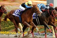 ダートで目覚ましい活躍を見せたカネヒキリ。写真：産経新聞社