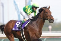 高松宮記念を連覇した単勝１番人気のサトノレーヴ。写真：産経新聞社