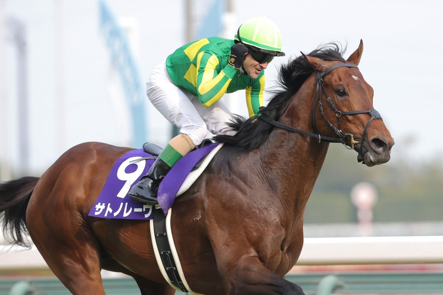 高松宮記念を連覇した単勝１番人気のサトノレーヴ。写真：産経新聞社