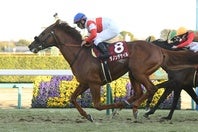 昨年の有馬記念を制したダノンデサイル。写真：産経新聞社