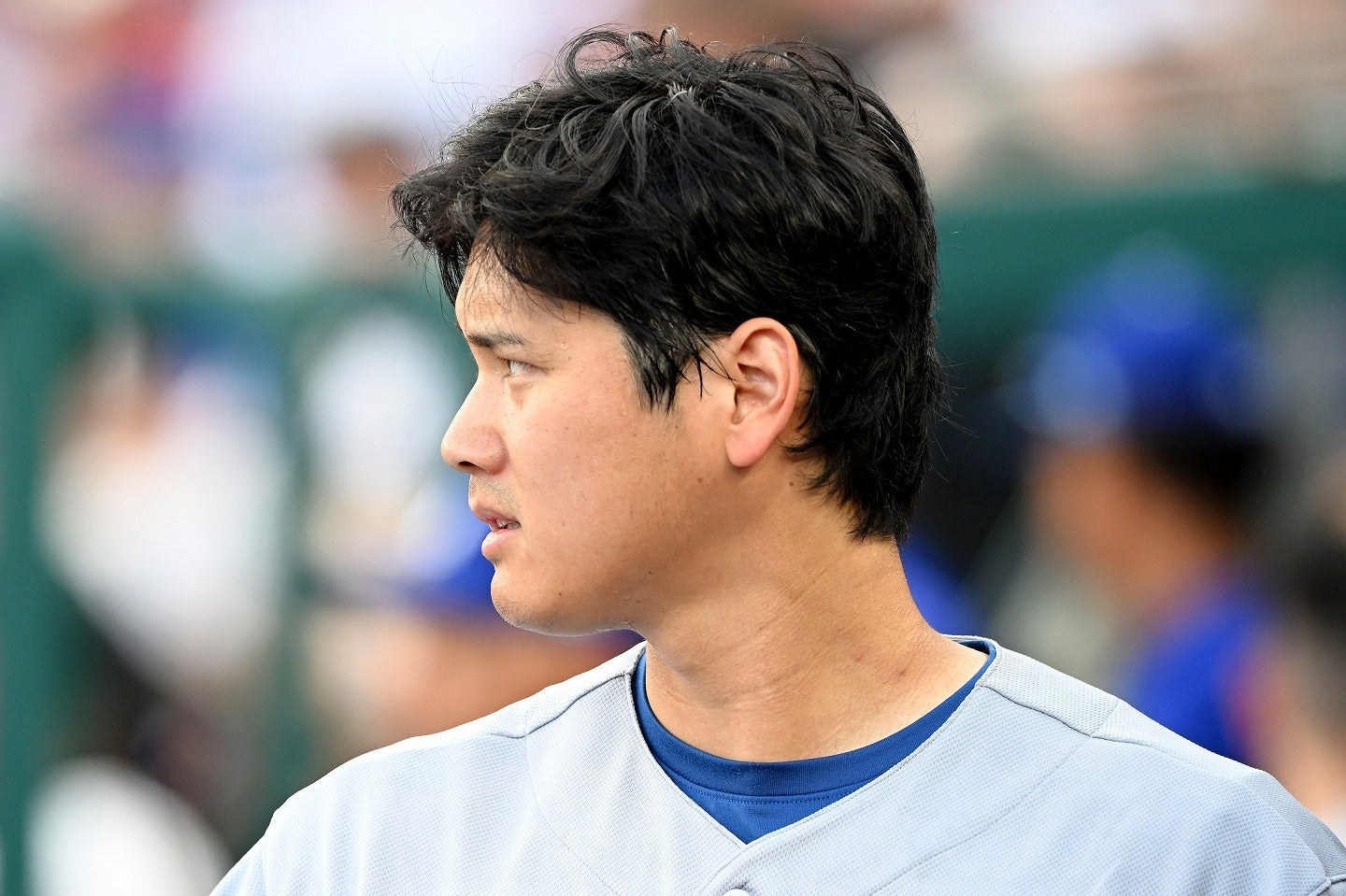 少年へ神対応を見せた大谷。(C)Getty Images