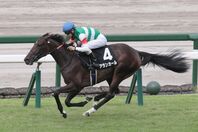 ここ２戦は勝ち星から遠ざかるアランカール。写真は１着となった野路菊ステークス。写真：産経新聞社