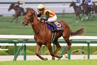 昨年の２歳女王スターアニスが桜花賞を制し、牝馬クラシック１冠目を手にした。写真：産経新聞社