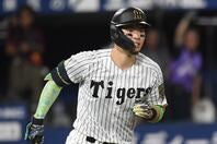 阪神の佐藤輝明が初回に先制の４号２ランを放った。写真：鈴木颯太朗