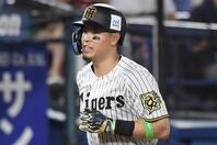 阪神の佐藤輝明が７回に５号ソロを放った。写真：鈴木颯太朗