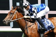 人気YouTuberが京都のカフェで奇跡の出会いを紹介した。画像はイメージ。(C)Getty Images