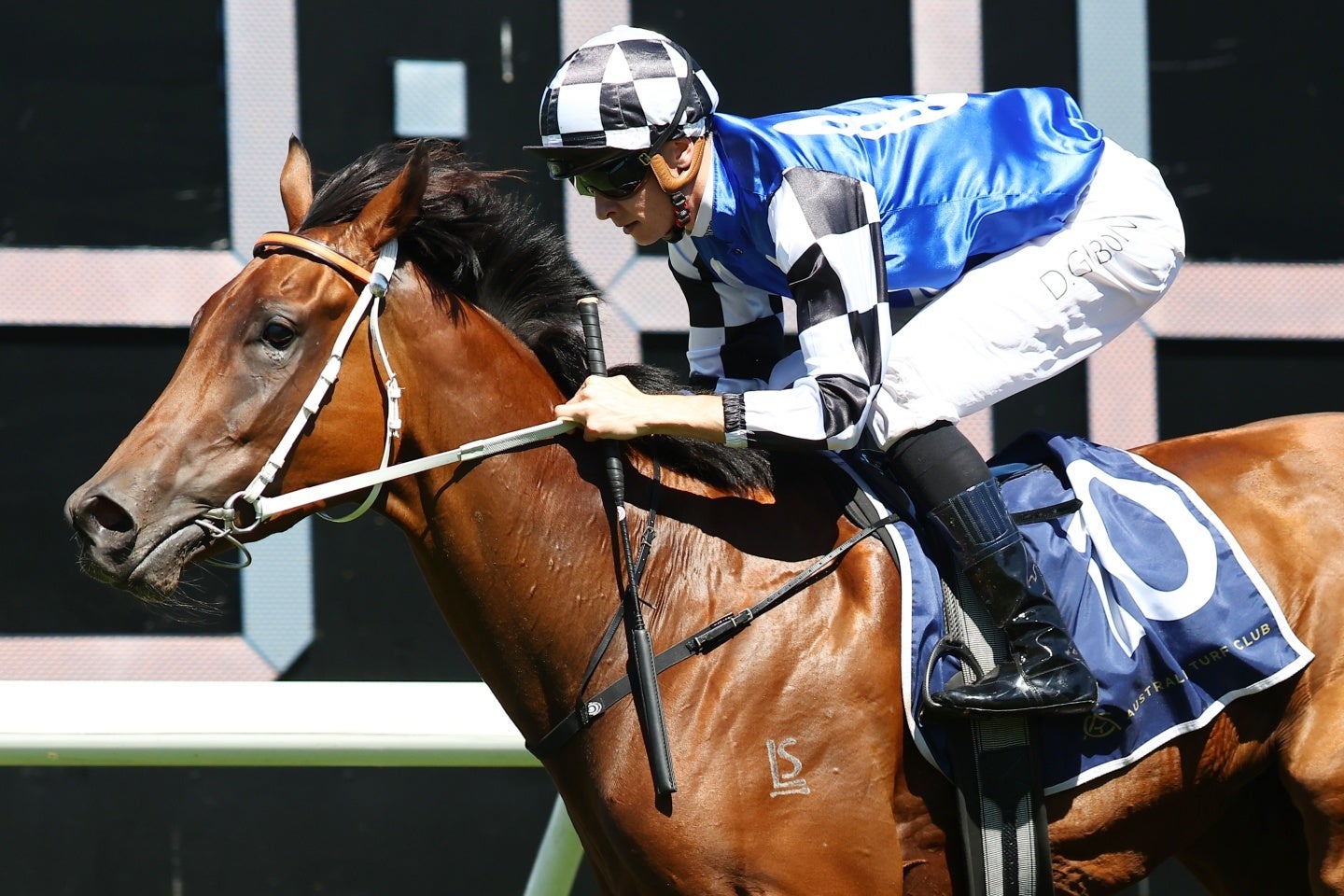 人気YouTuberが京都のカフェで奇跡の出会いを紹介した。画像はイメージ。(C)Getty Images