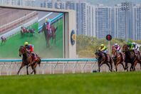 ２着に４馬身以上の大差をつけて20連勝を飾ったカーインライジング。写真：REX/アフロ