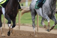 地方競馬からビッグニュースが届いた。画像はイメージ。(C)Getty Images