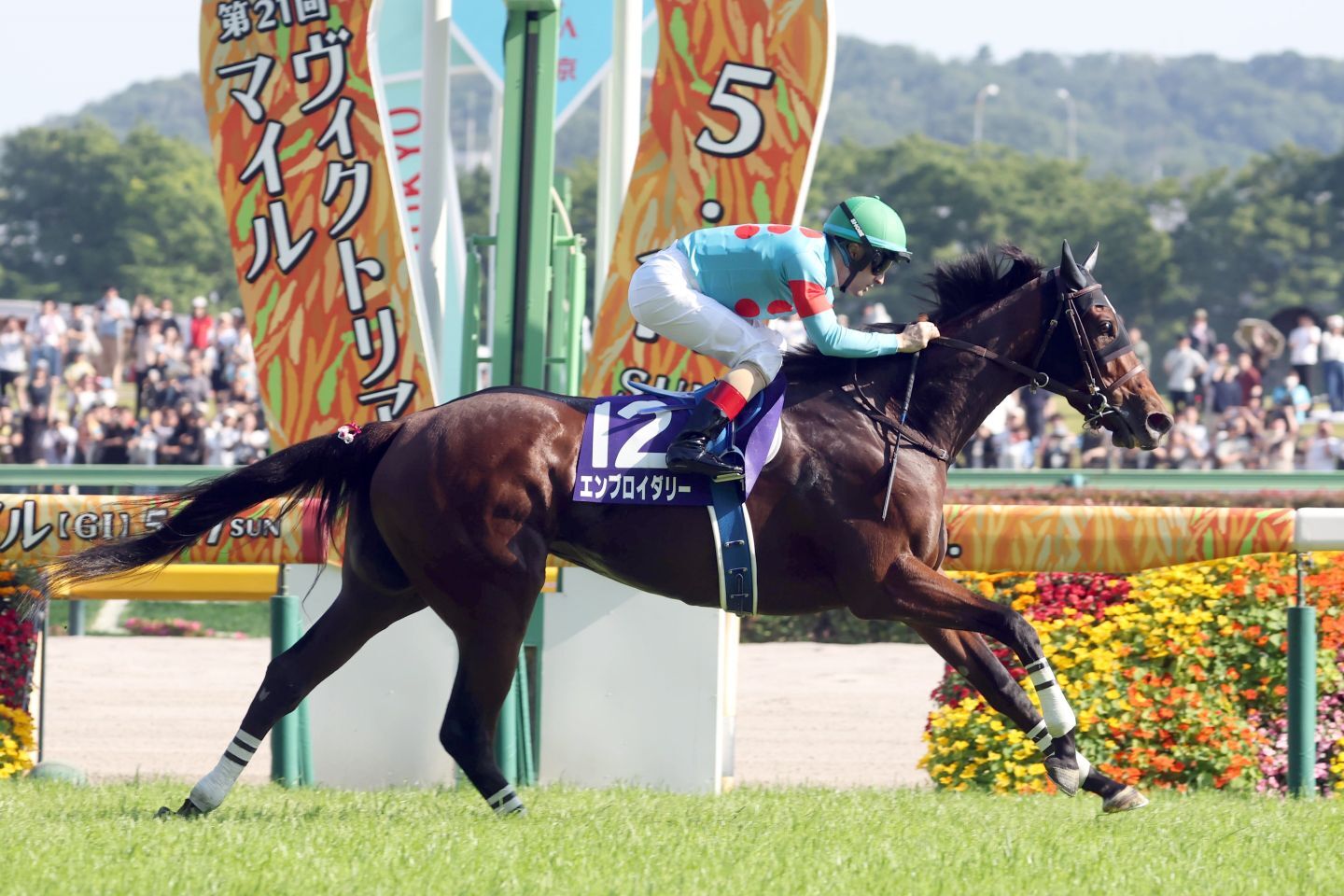 ３度目のG１優勝となるヴィクトリアマイルを制したエンブロイダリー。写真：産経新聞社