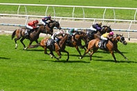東京競馬場に現われた人気女子アナの姿が話題になっている（※写真はイメージ）。(C) Getty Images