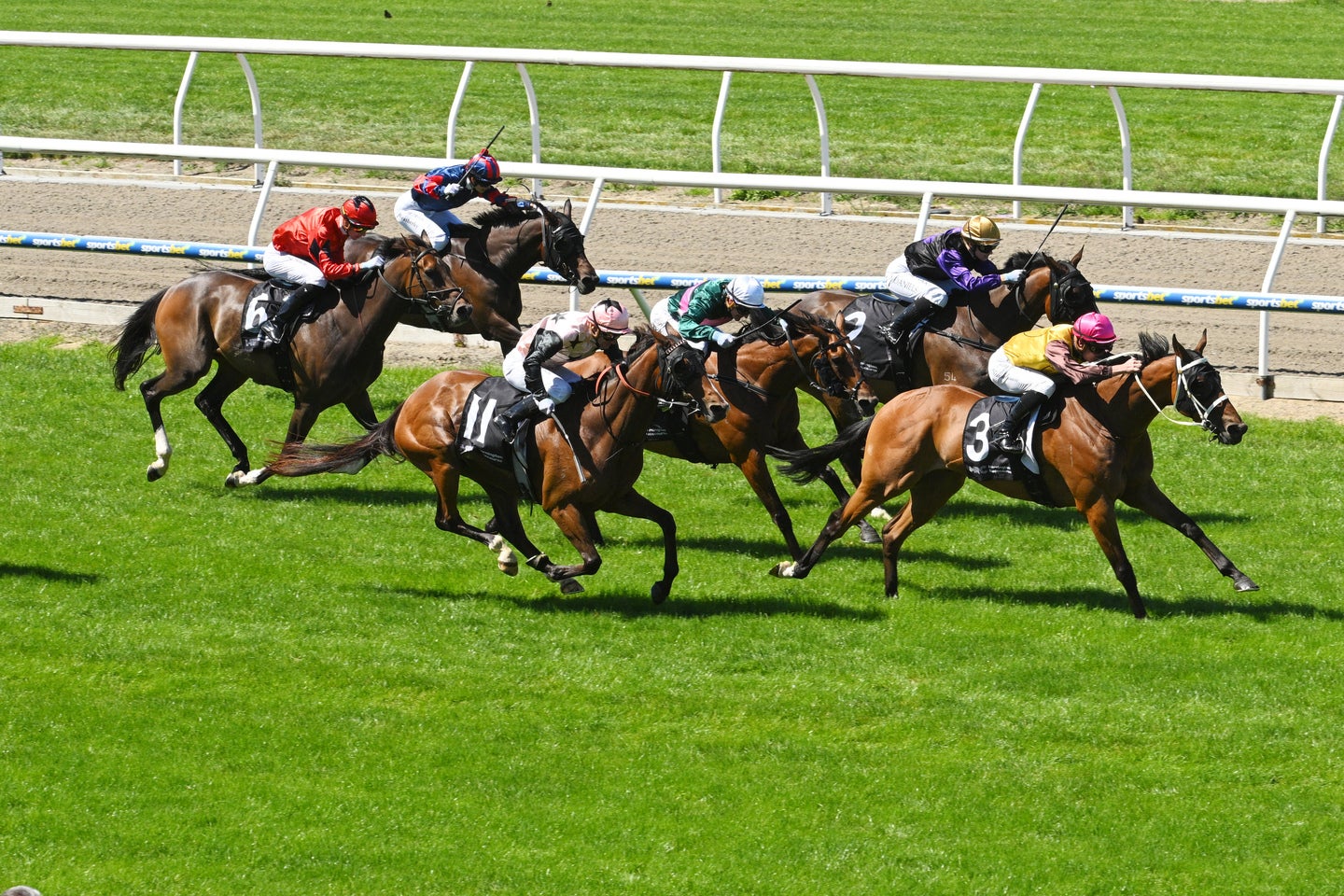 東京競馬場に現われた人気女子アナの姿が話題になっている（※写真はイメージ）。(C) Getty Images