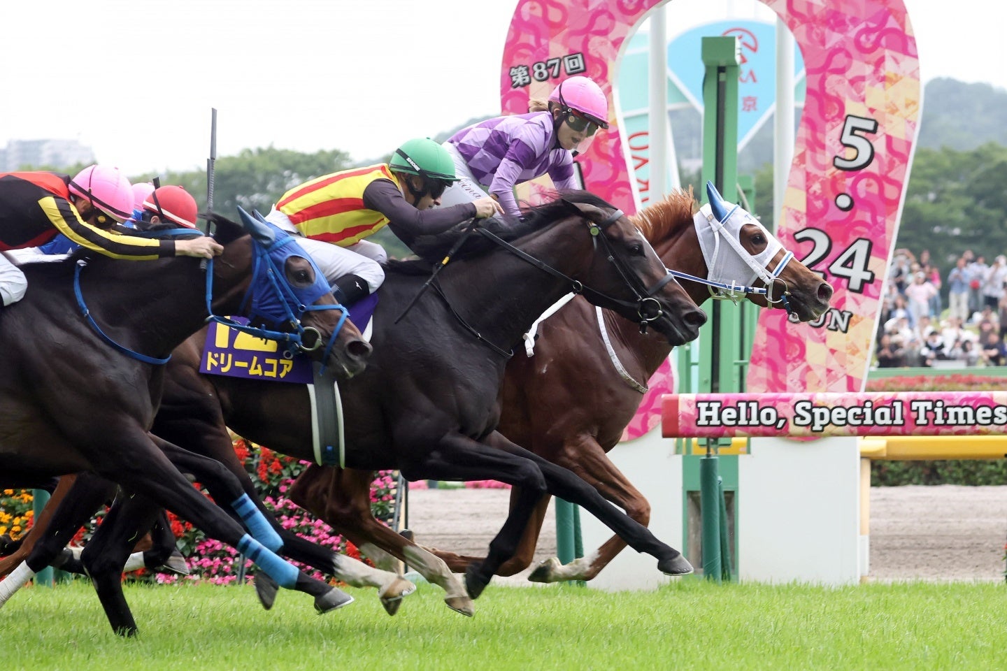 歴史的な大接戦を首差で制した16番のジュウリョクピエロ（一番奥）。写真：産経新聞社