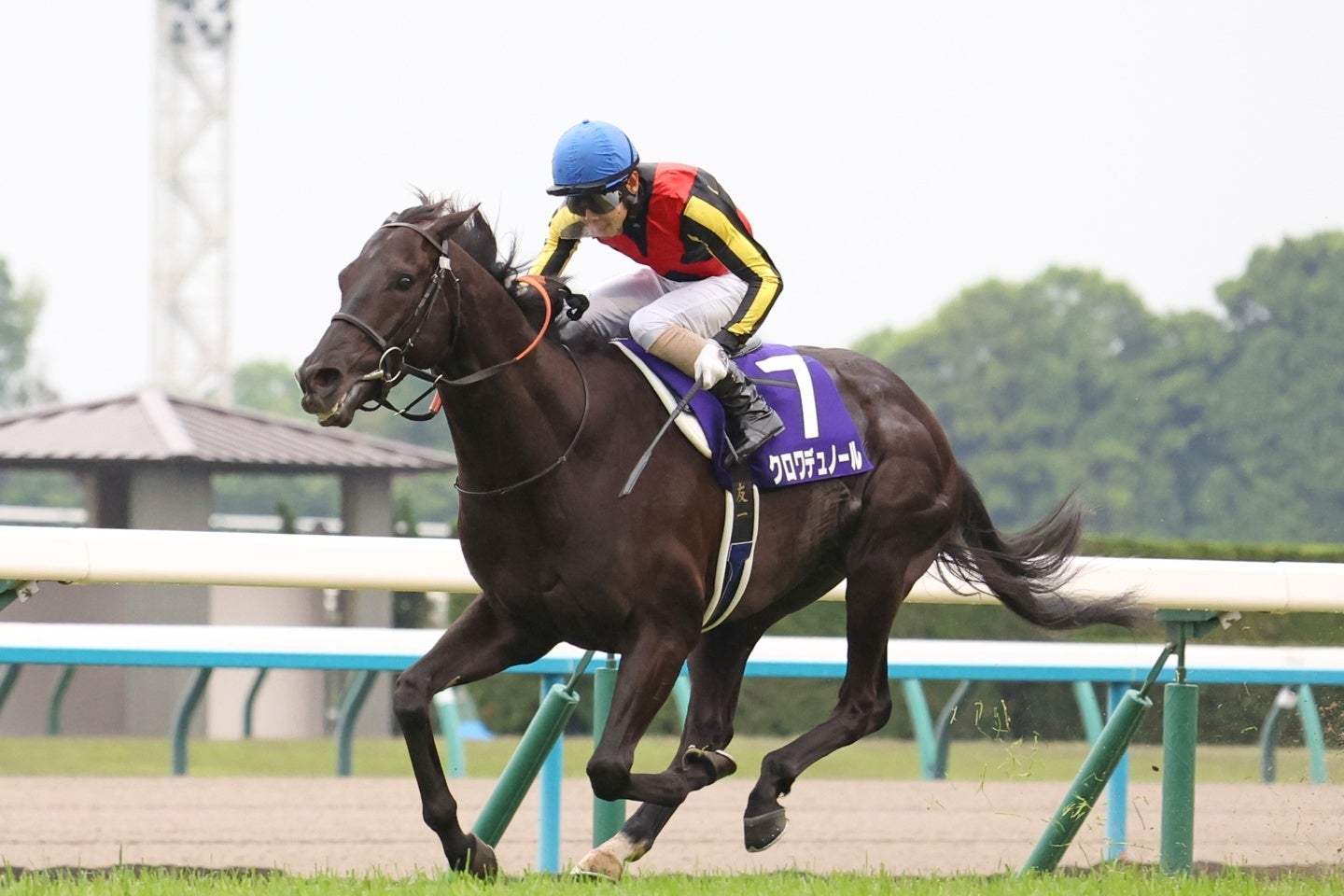 GⅠ２連勝中のクロワデュノール。写真：産経新聞社