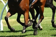 福島競馬場に人気女性タレントが浴衣姿で登場した。(C)Getty Images