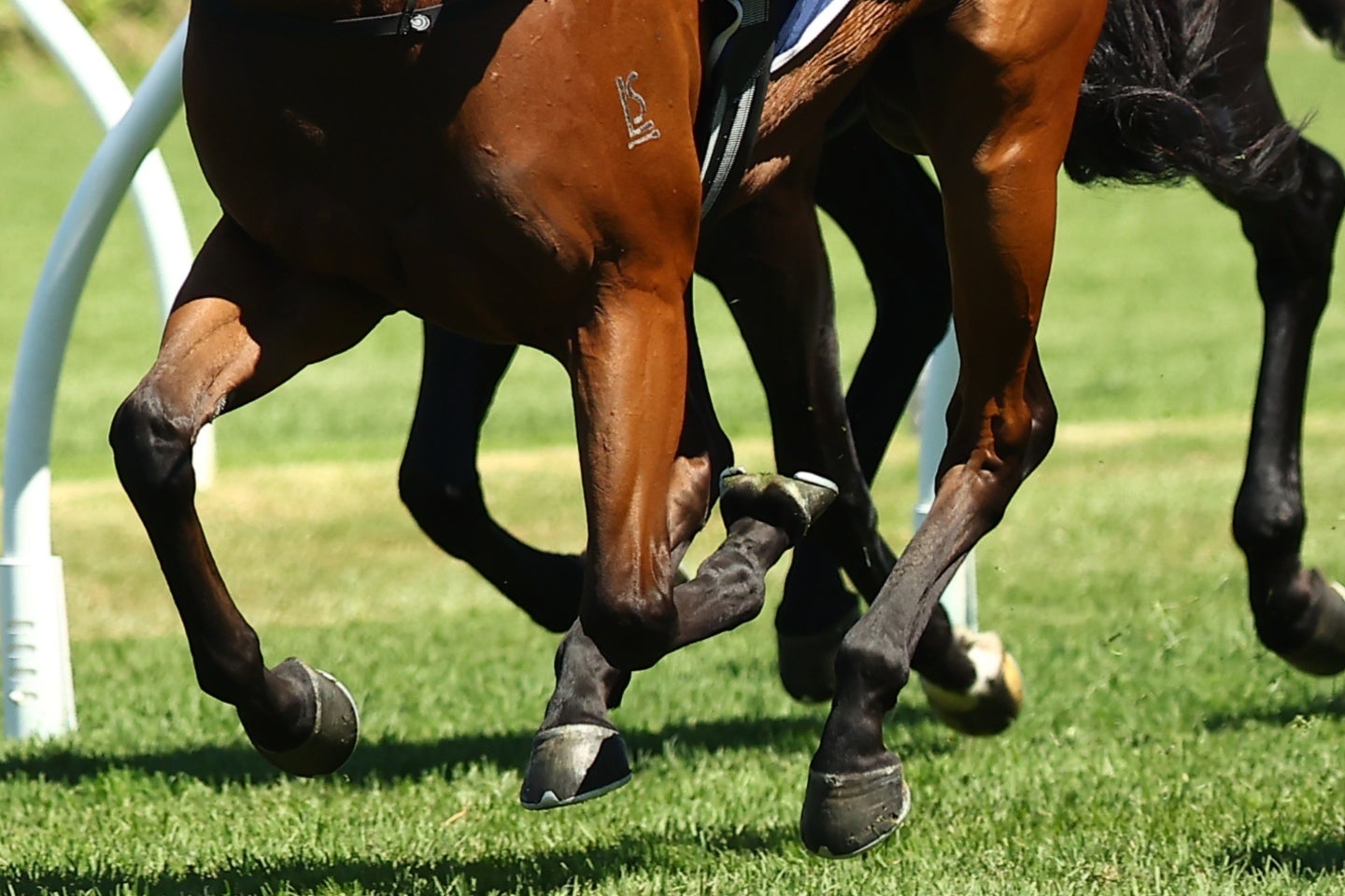 福島競馬場に人気女性タレントが浴衣姿で登場した。(C)Getty Images