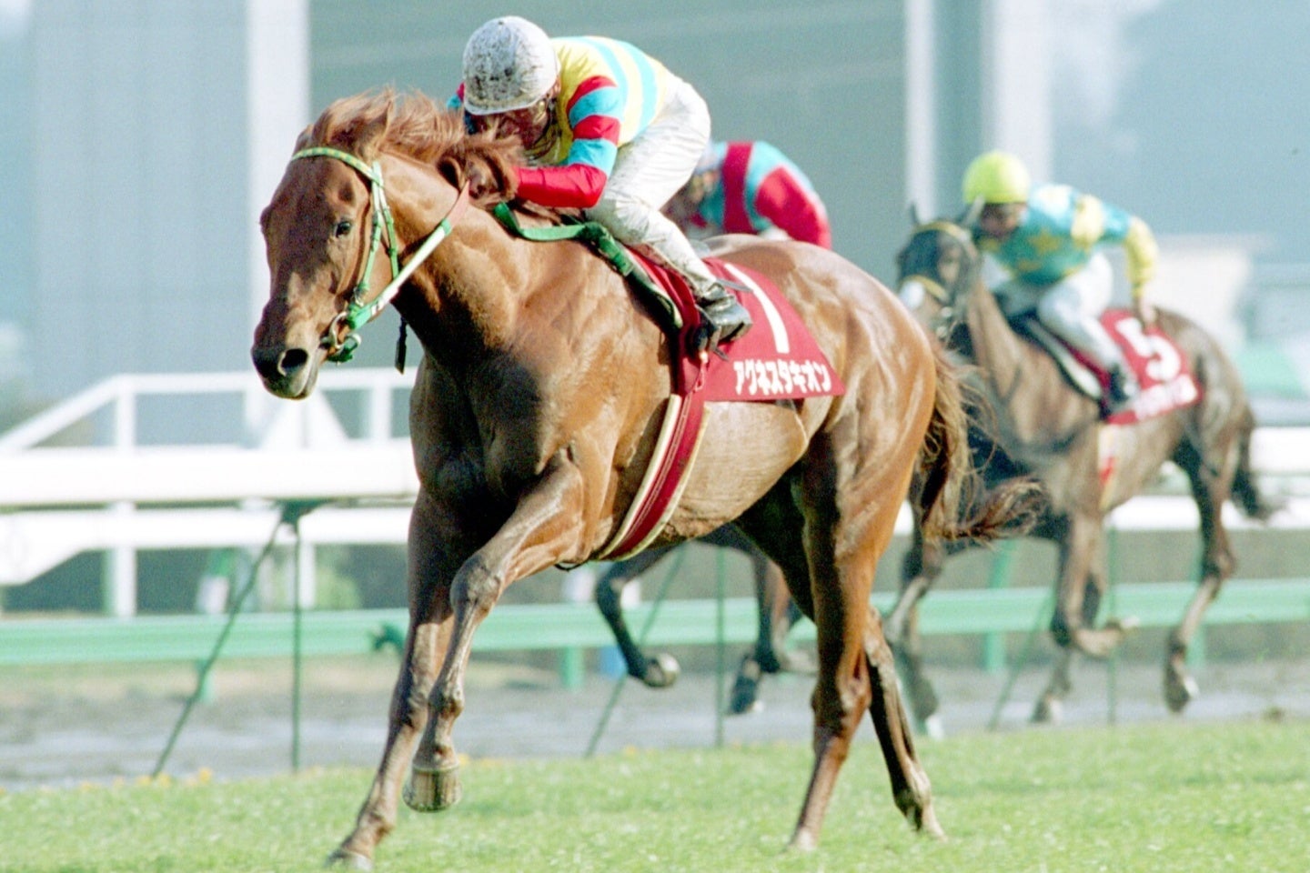 弥生賞をぶっち切ったアグネスタキオン。皐月賞制覇後に現役を引退。僅か４戦のキャリアだったが強烈なインパクトを残した。写真：産経新聞社