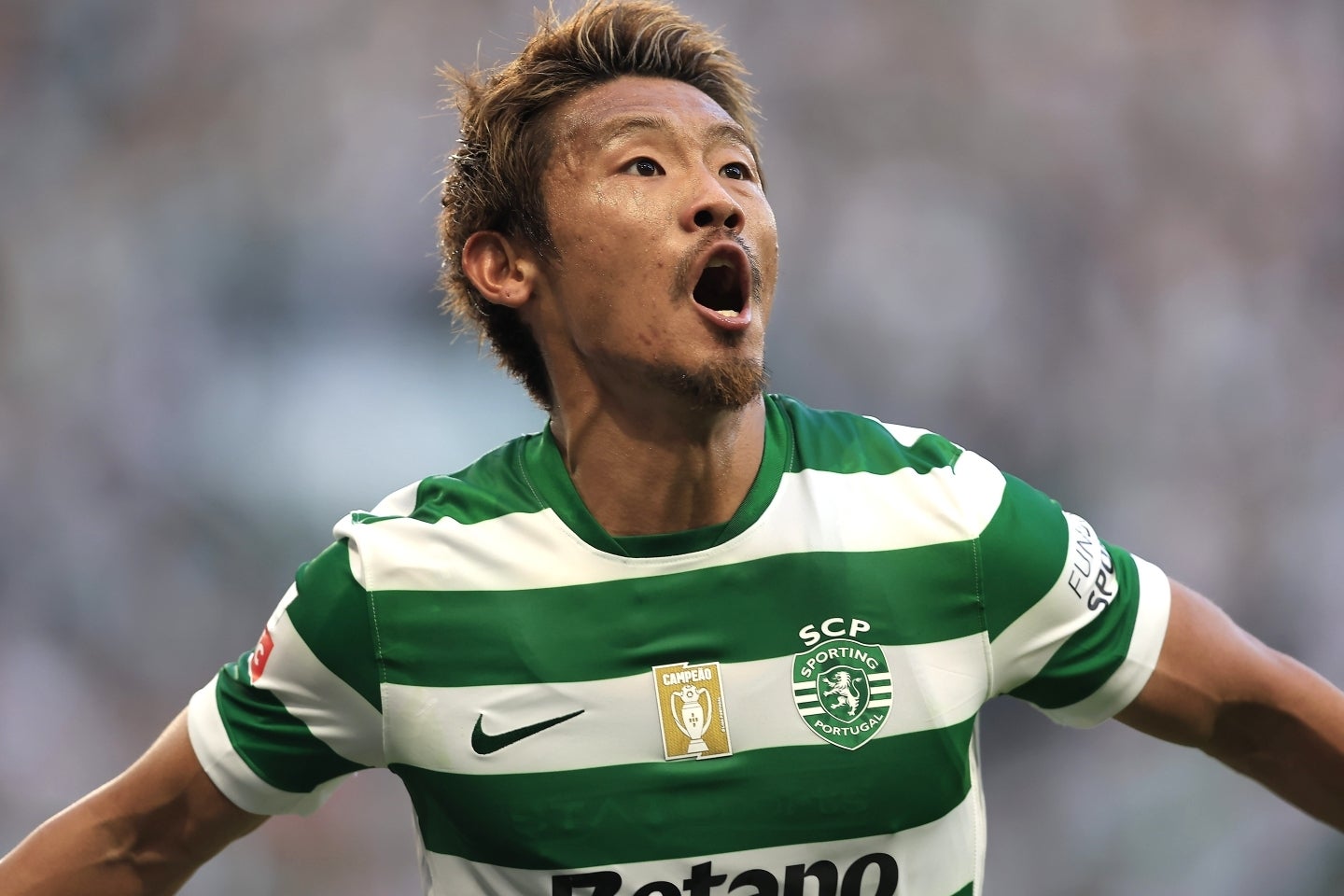 スポルティングを退団してフリーの守田が、プレミアリーグの昇格クラブ、イプスウィッチと交渉しているという。(C)Getty Images