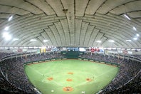 東京ドームでの球宴第１戦を観戦した人気モデルに注目が集まっている。(C) Getty Images