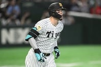 今季ここまで打率と打点でセ・リーグ２冠の佐藤。本塁打は２位と好調だ。写真：鈴木颯太朗