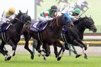 ６月の安田記念を制したシックスペンス。写真：産経新聞社