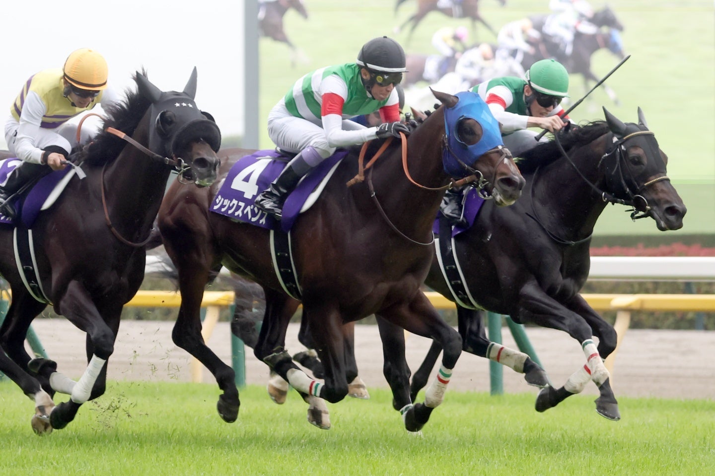 ６月の安田記念を制したシックスペンス。写真：産経新聞社