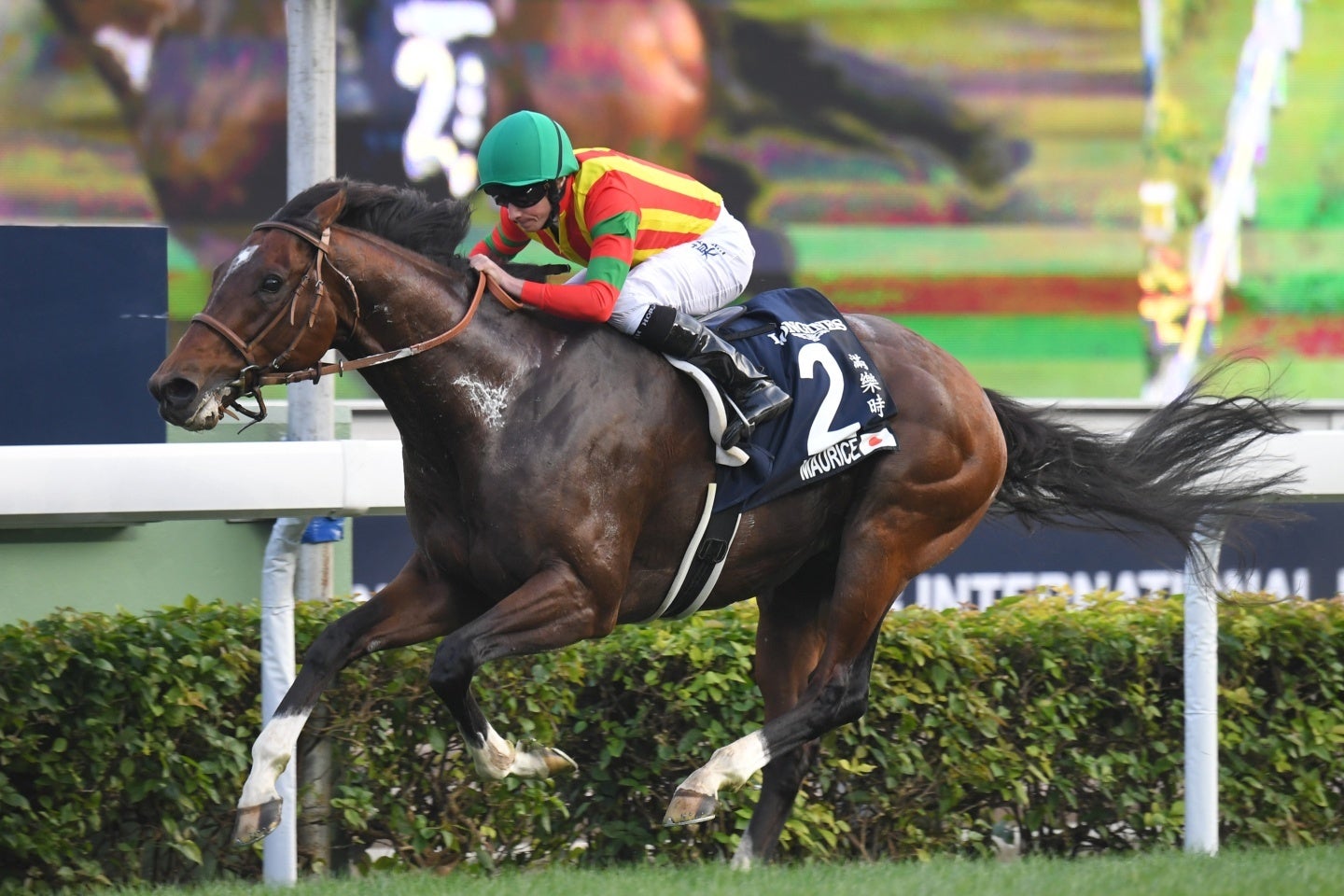 香港Cを制覇したモーリス。GⅠ通算６勝を挙げた。写真：産経新聞社